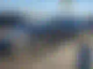 Vehicle Image- 2014 Audi A4