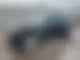 Vehicle Image- 2013 Audi A4