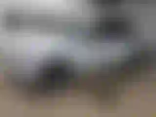 Vehicle Image- 2019 Audi Q7