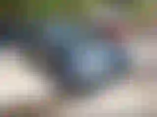 Vehicle Image- 2012 Audi Q5