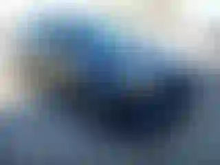 Vehicle Image- 2014 Audi Q7