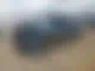 Vehicle Image- 2023 Audi A5