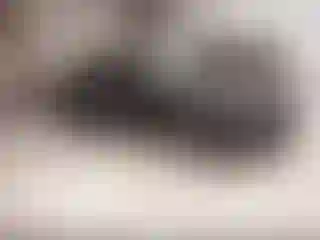 Vehicle Image- 2010 Audi A4