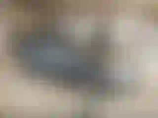 Vehicle Image- 2013 Audi A4