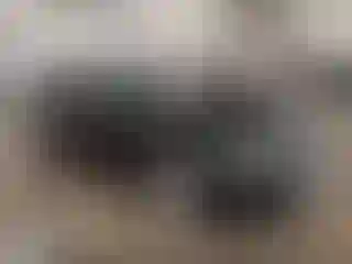 Vehicle Image- 2017 Audi A4