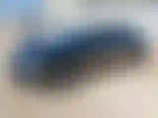 Vehicle Image- 2017 Audi A4