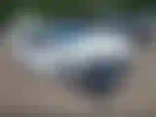 Vehicle Image- 2017 Audi A4