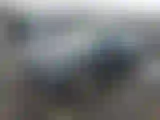 Vehicle Image- 2017 Audi A4