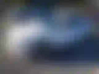 Vehicle Image- 2017 Audi A4