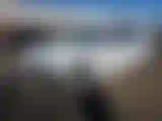 Vehicle Image- 2017 Audi A4