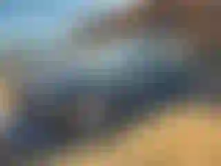 Vehicle Image- 2019 Audi A5