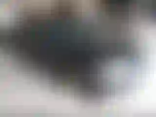 Vehicle Image- 2017 Audi A3