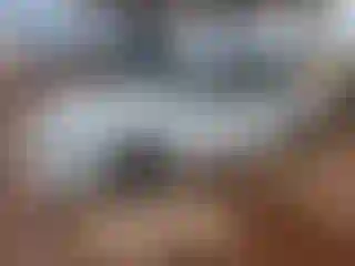 Vehicle Image- 2022 Audi A4