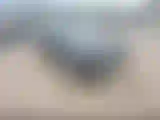 Vehicle Image- 2016 Audi A4