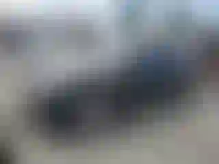 Vehicle Image- 2014 Audi A4