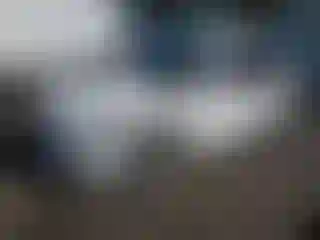 Vehicle Image- 2011 Audi A4