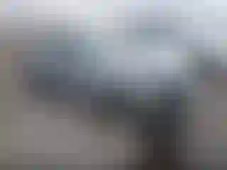 Vehicle Image- 2015 Audi A4