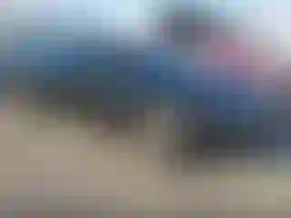 Vehicle Image- 2012 Audi A4