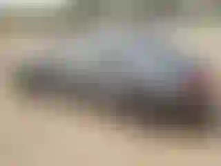 IMPORTOWO.pl