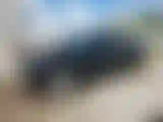 Vehicle Image- 2015 Audi A5