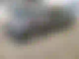 Vehicle Image- 2025 Audi A5