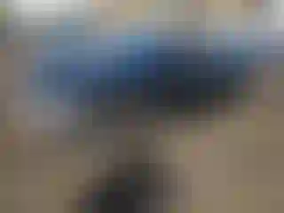 Vehicle Image- 2014 Audi A4