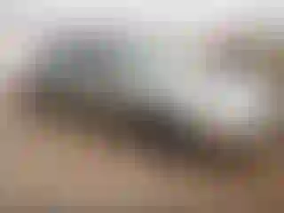 Vehicle Image- 2005 Audi A6