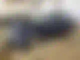 Vehicle Image- 2019 Audi A4