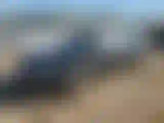 Vehicle Image- 2008 Audi A6