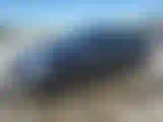 Vehicle Image- 2023 Audi A5