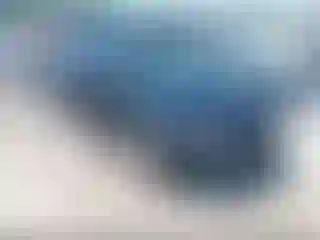 Vehicle Image- 2011 Audi A4