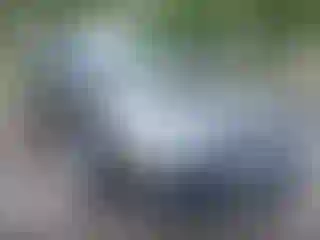 IMPORTOWO.pl