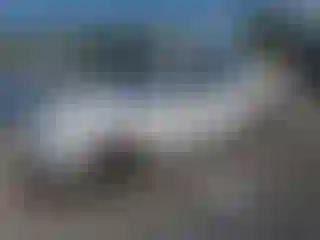 Vehicle Image- 2017 Audi A4