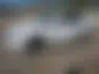 Vehicle Image- 2017 Audi A4