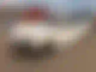 Vehicle Image- 2017 Audi A4