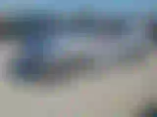 Vehicle Image- 2017 Audi A4