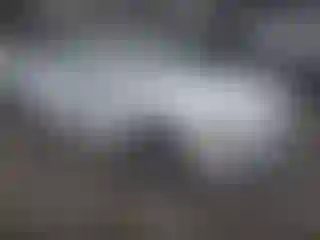 Vehicle Image- 2019 Audi A4