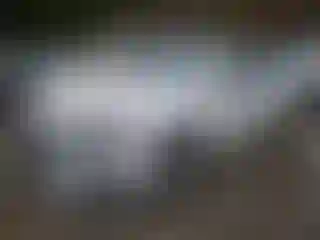 Vehicle Image- 2022 Audi A4