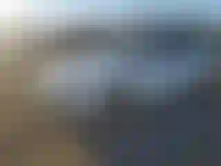 Vehicle Image- 2016 Audi A4