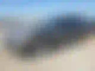 Vehicle Image- 2014 Audi A4