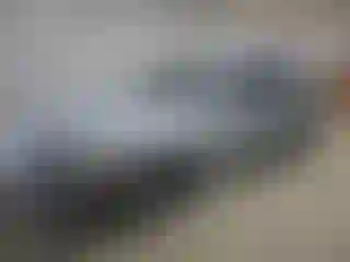 Vehicle Image- 2015 Audi A4