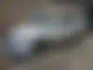 Vehicle Image- 2013 Audi A4