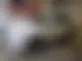 Vehicle Image- 2015 Audi A4