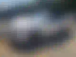 Vehicle Image- 2016 Audi A4