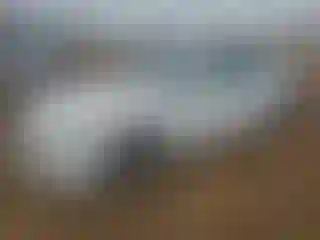 Vehicle Image- 2012 Audi A4