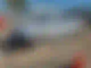 Vehicle Image- 2013 Audi A4