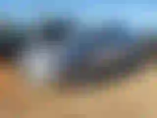 Vehicle Image- 2016 Audi A4