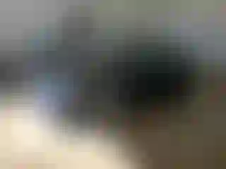 Vehicle Image- 2016 Audi A4