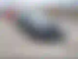 Vehicle Image- 2011 Audi A6