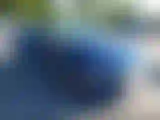 Vehicle Image- 2017 Audi A4